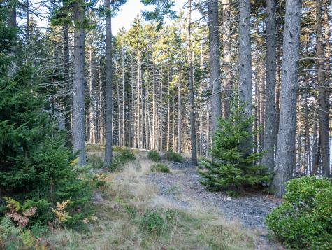 63 Minturn Road Swans Island ME 04685