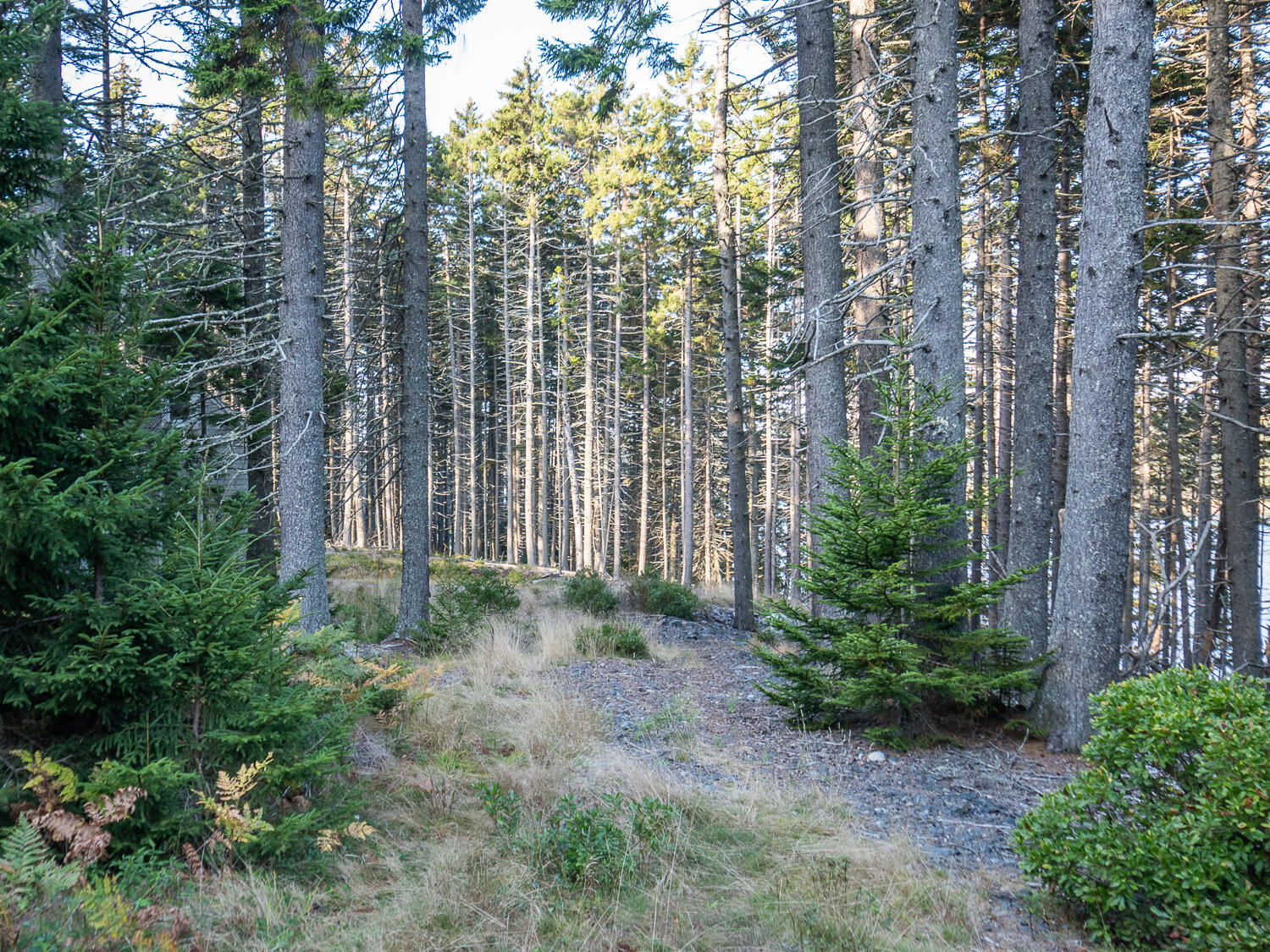 63 Minturn Road Swans Island ME 04685