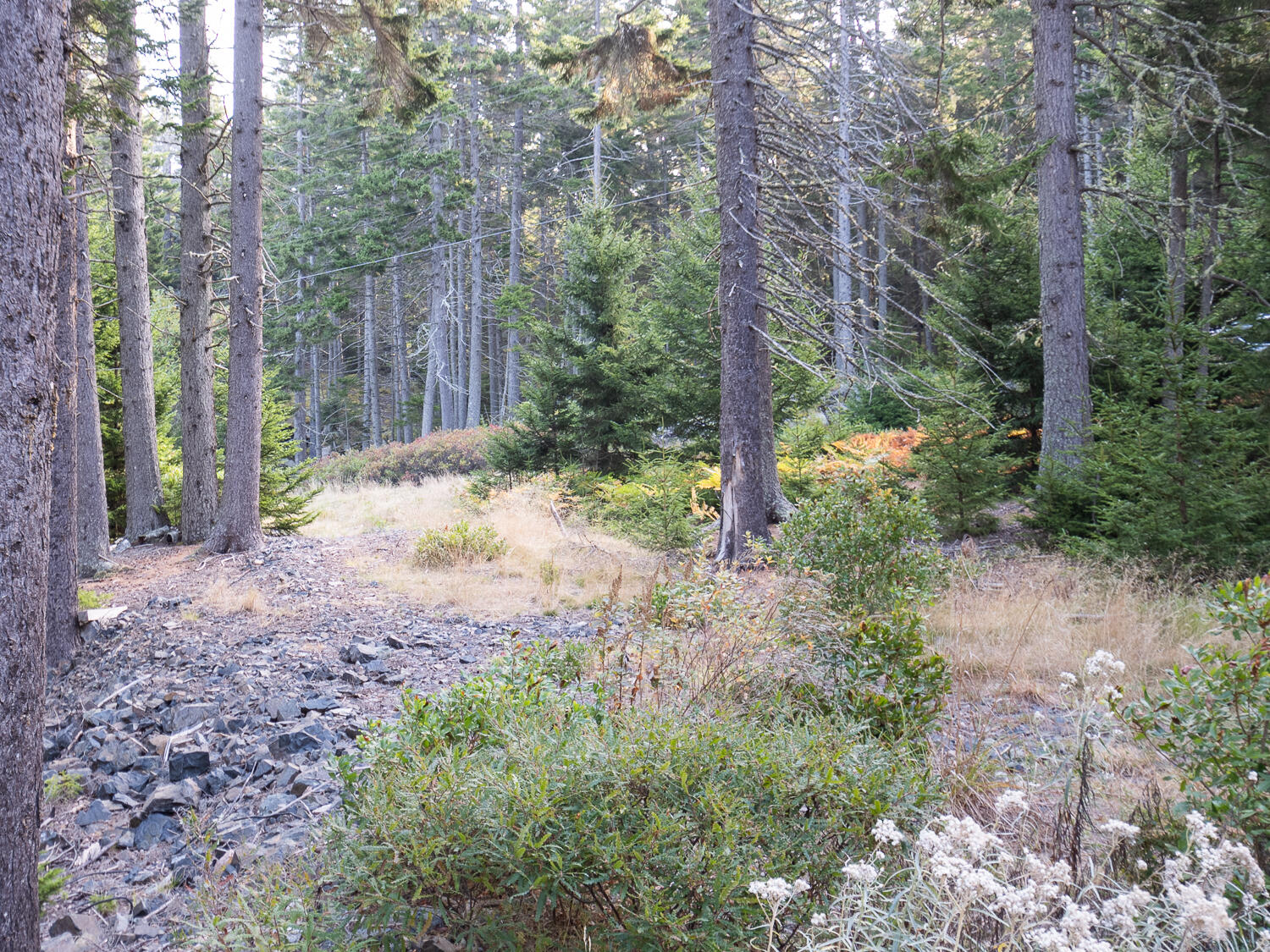 63 Minturn Road Swans Island ME 04685