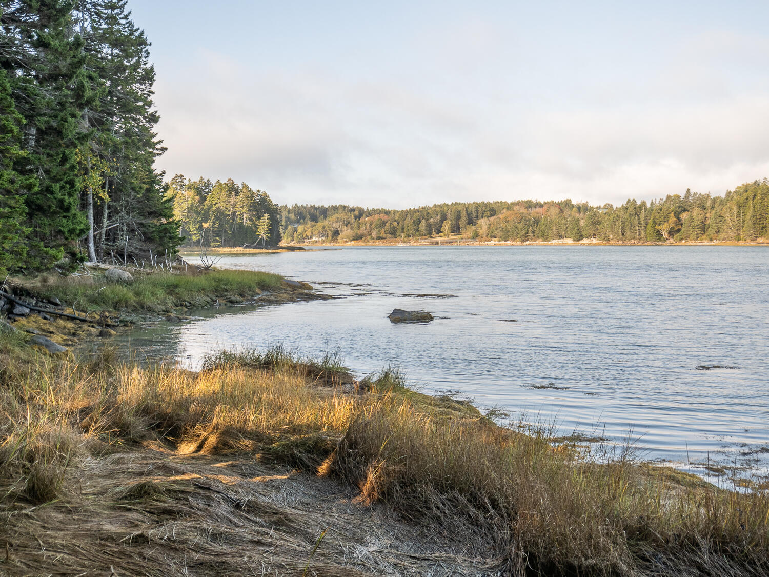 63 Minturn Road Swans Island ME 04685