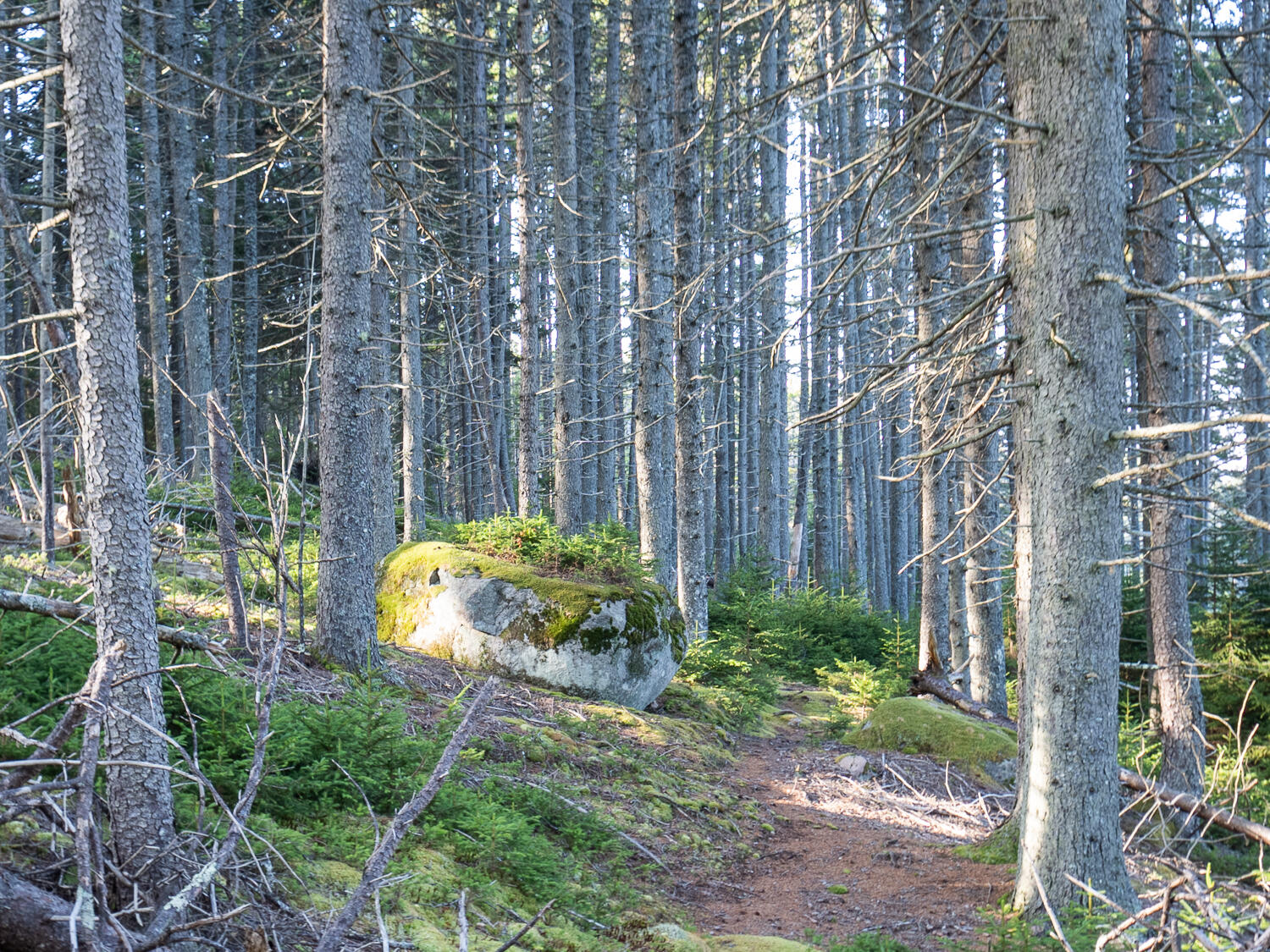 63 Minturn Road Swans Island ME 04685