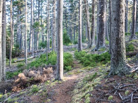 63 Minturn Road Swans Island ME 04685