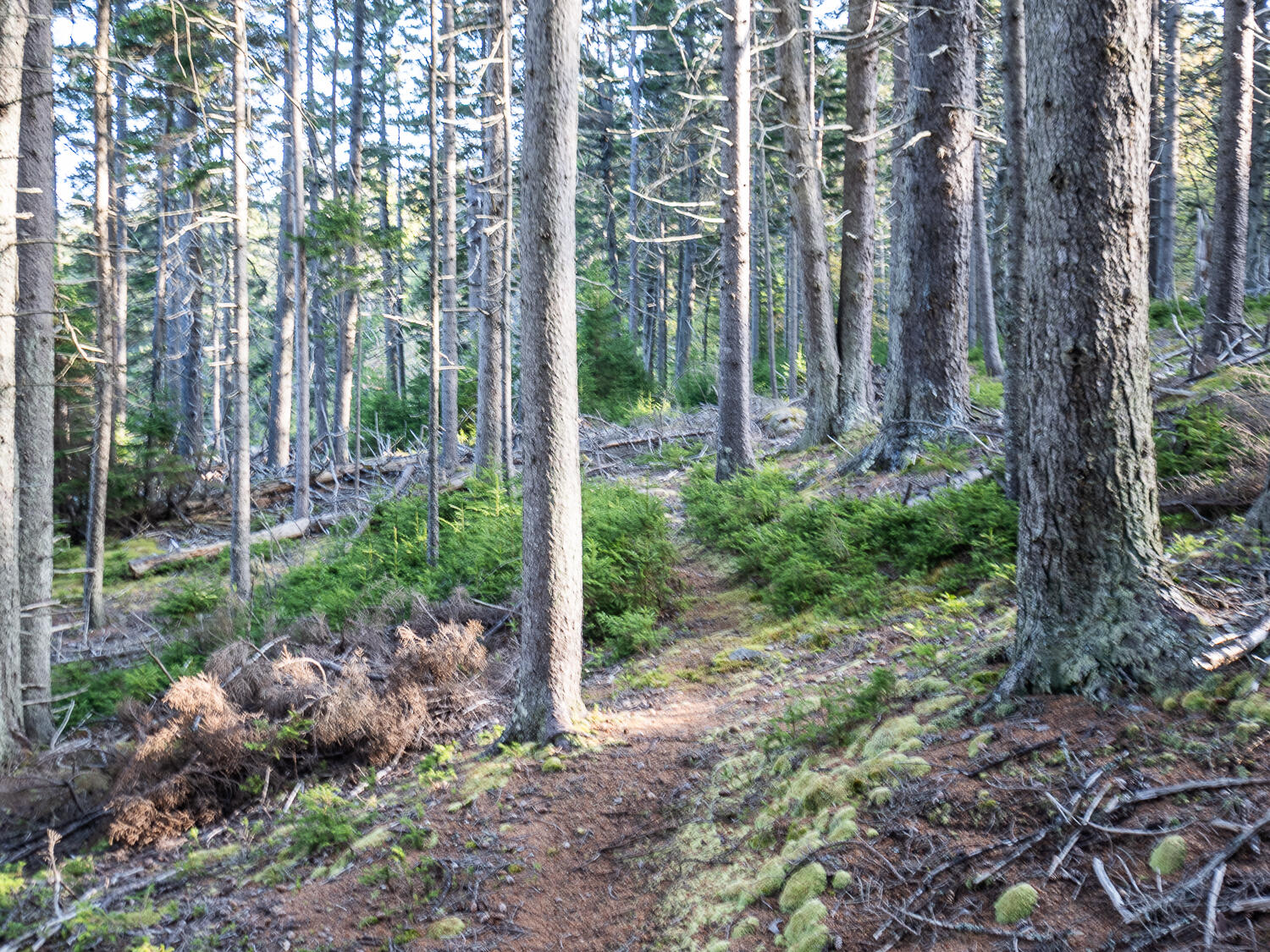 63 Minturn Road Swans Island ME 04685