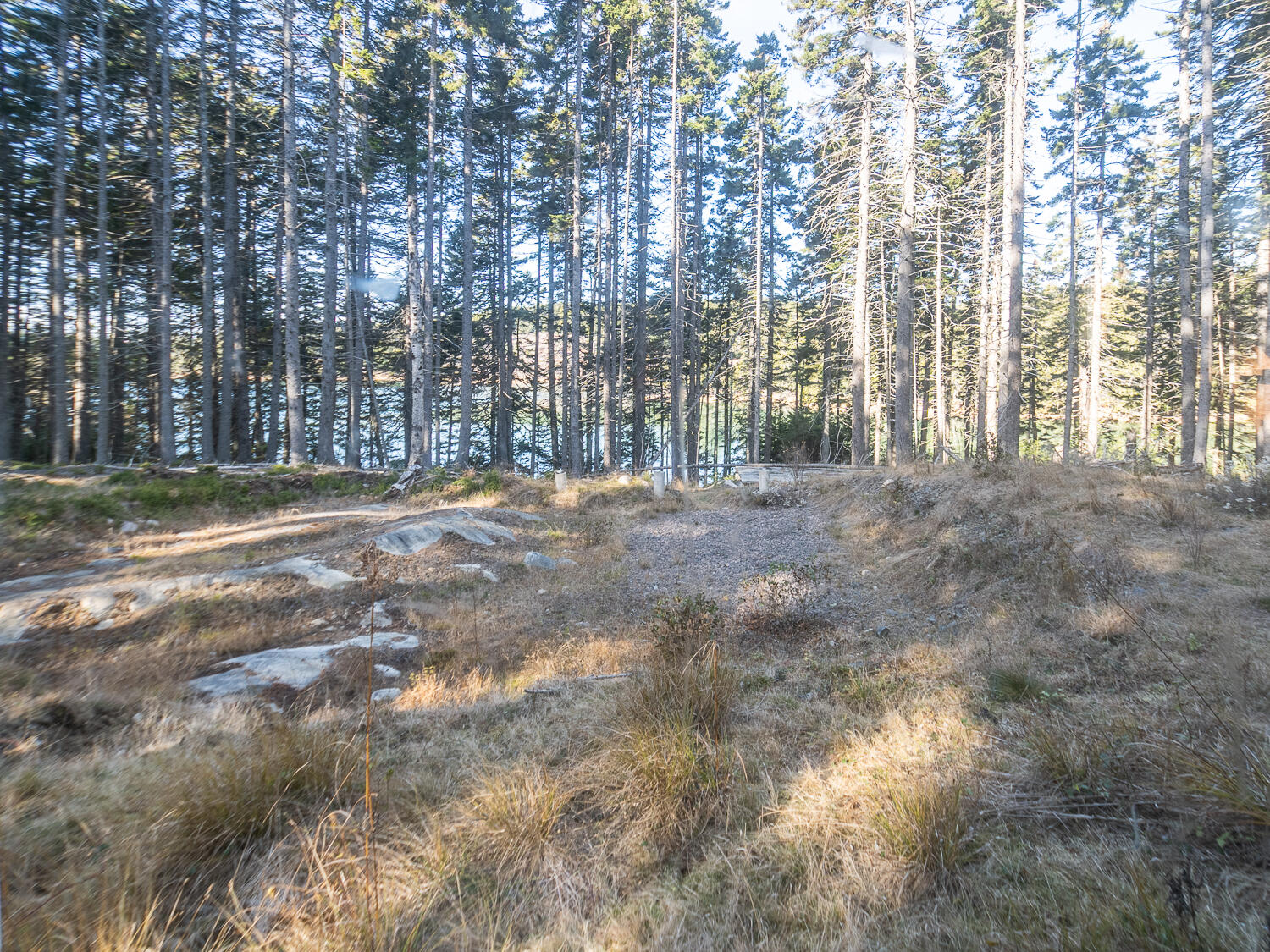 63 Minturn Road Swans Island ME 04685