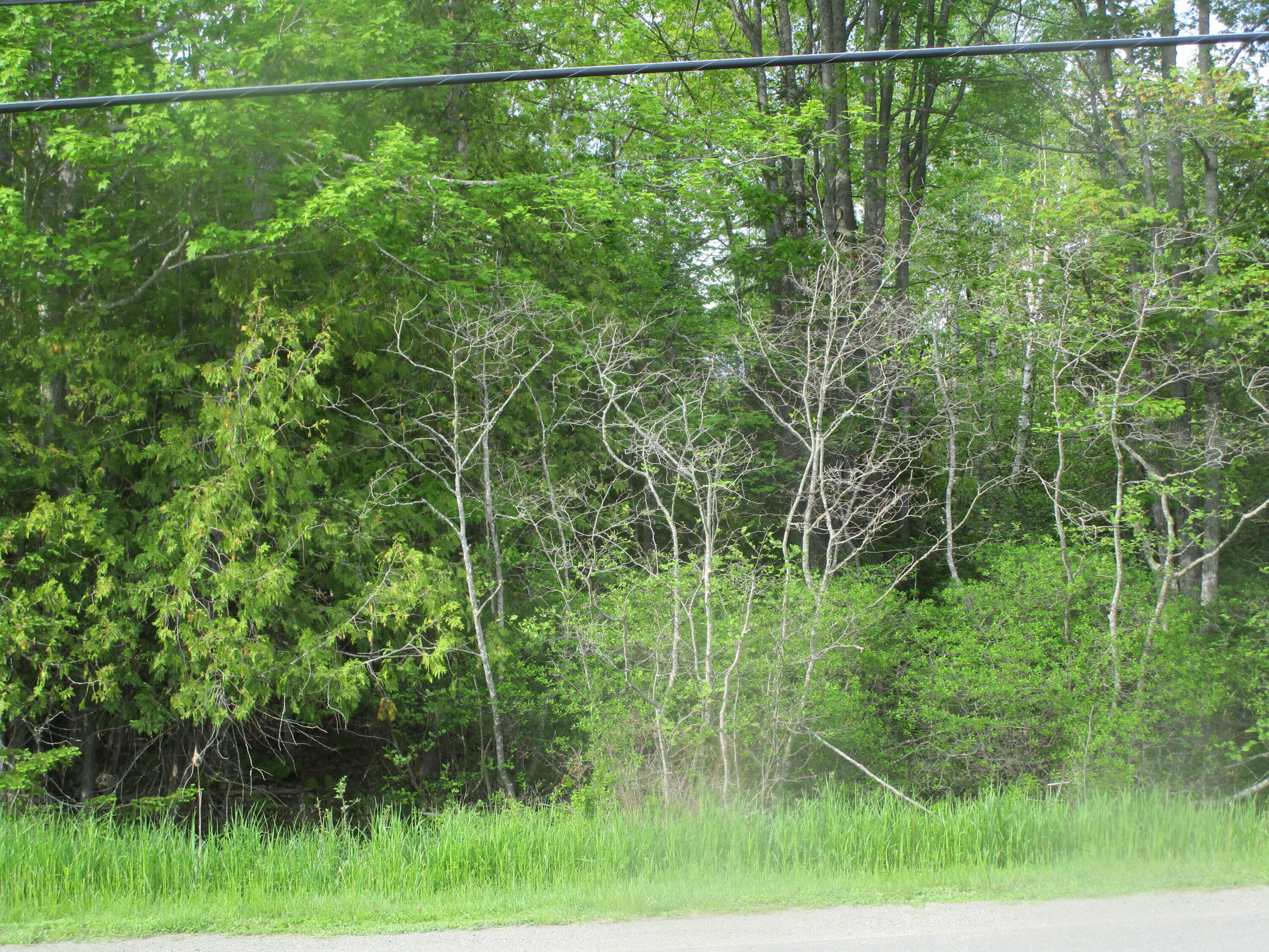 Lot 098-e Center Drive Orrington ME 04474