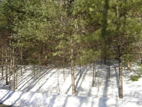 34 Alice Road Casco ME 04015