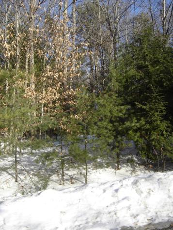 34 Alice Road Casco ME 04015