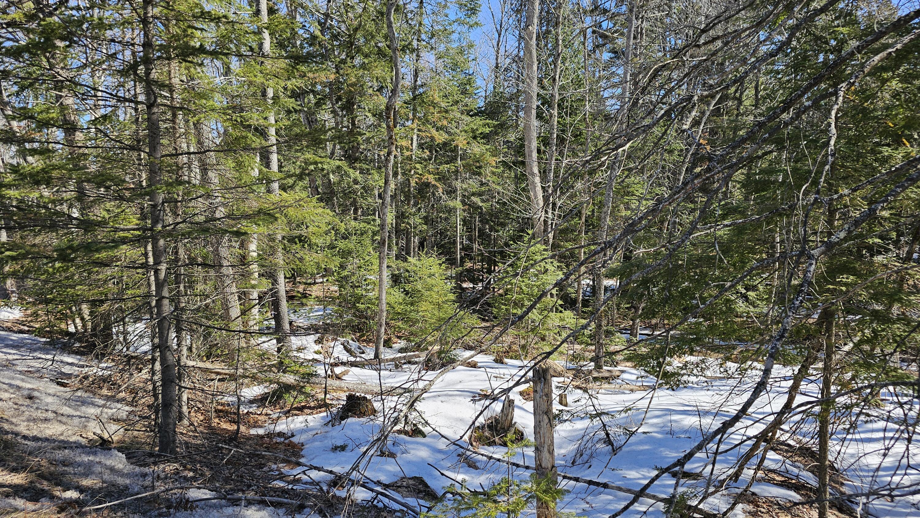 41-000-000 Kidder Hill Road Holden ME 04429