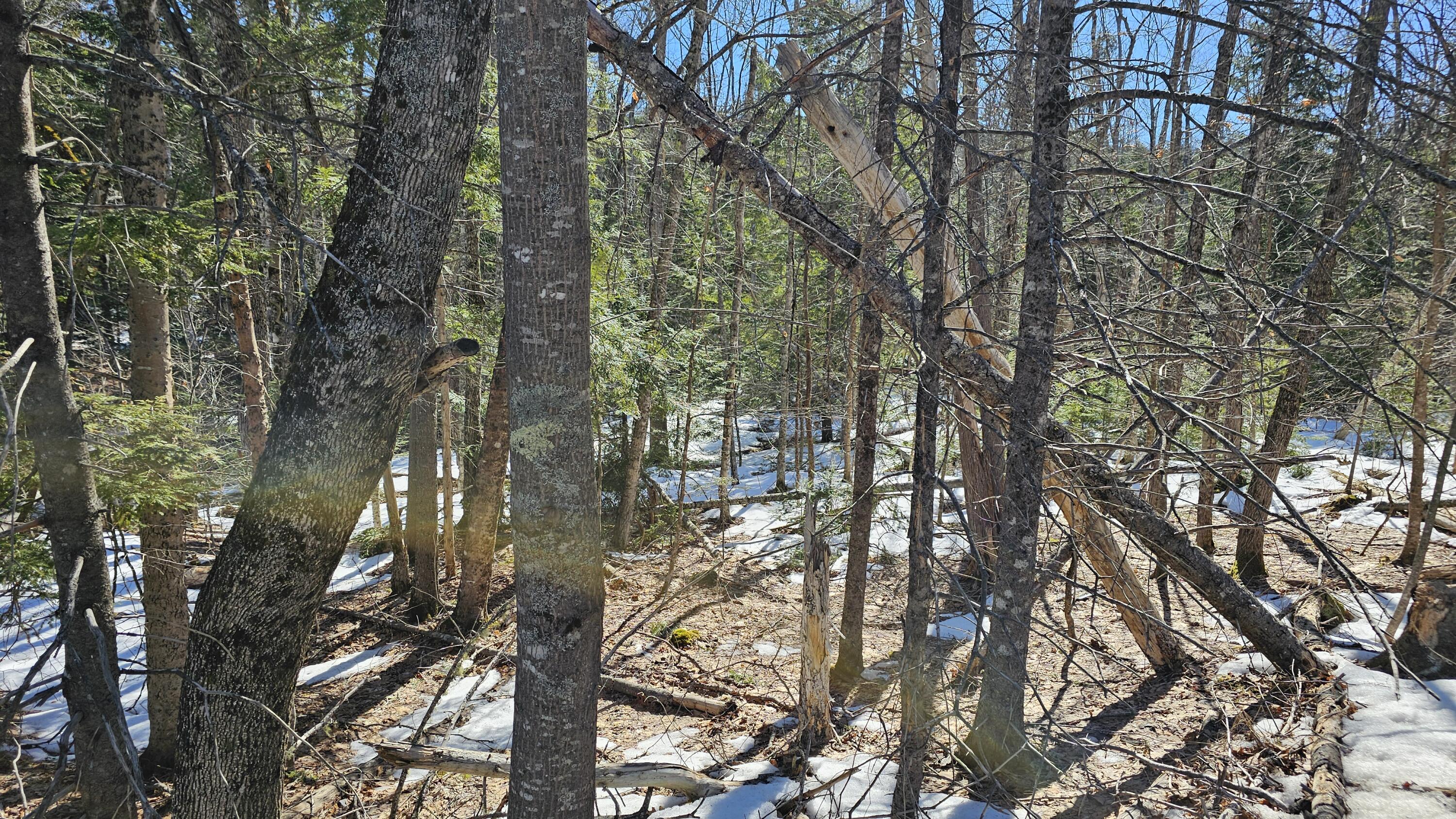 41-000-000 Kidder Hill Road Holden ME 04429
