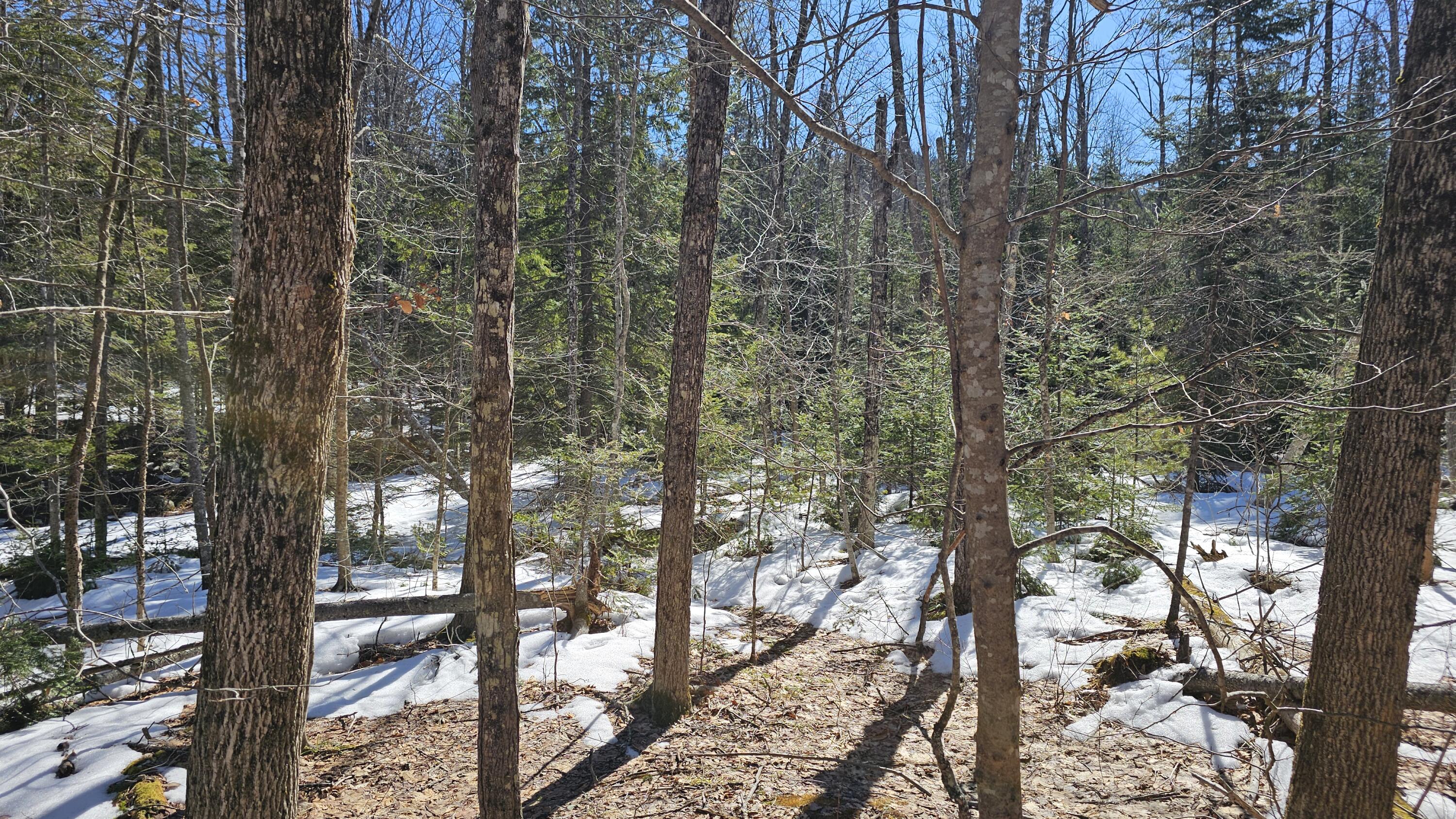 41-000-000 Kidder Hill Road Holden ME 04429