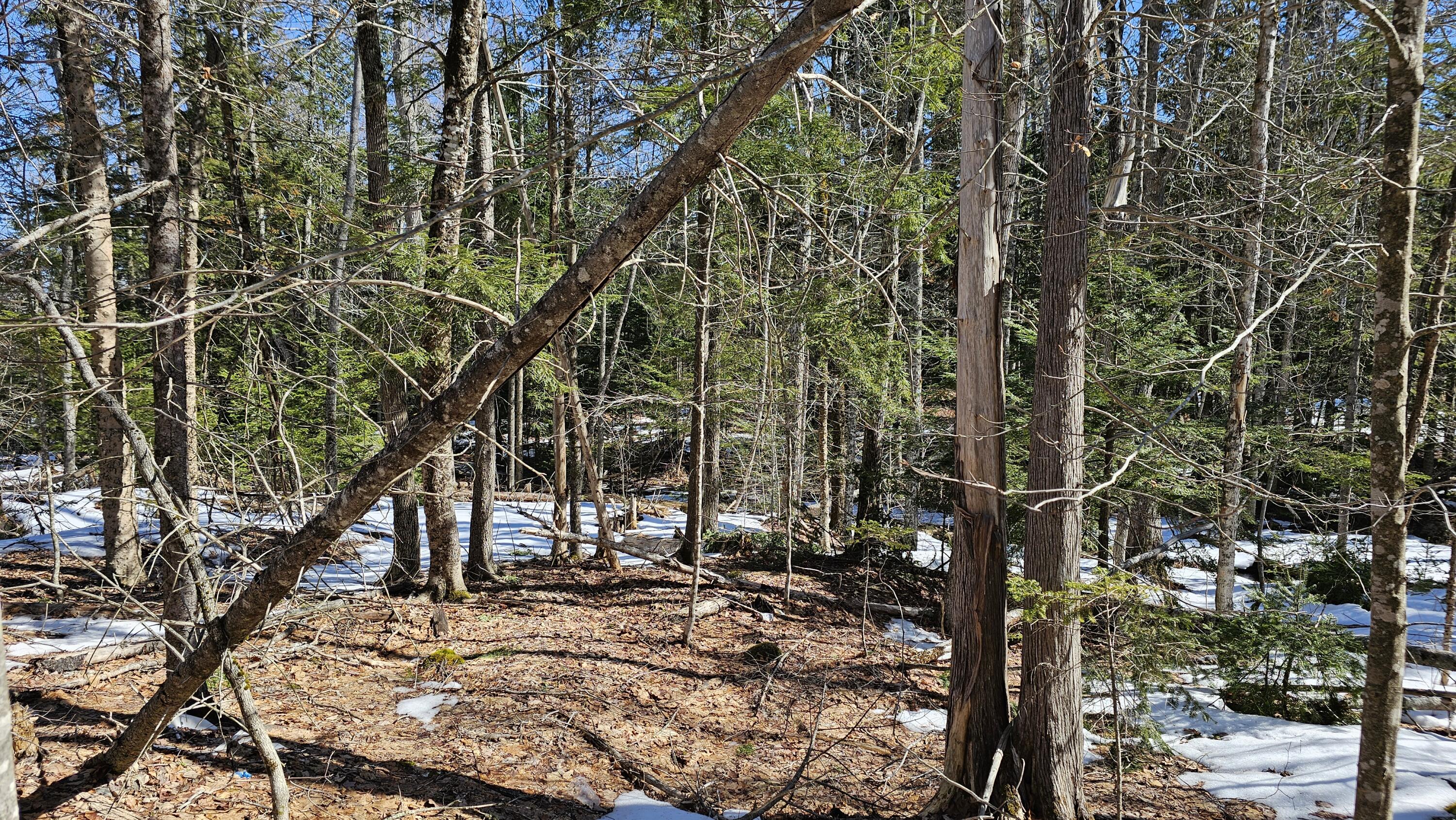 41-000-000 Kidder Hill Road Holden ME 04429