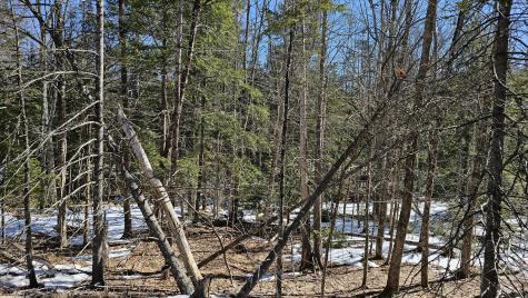 41-000-000 Kidder Hill Road Holden ME 04429