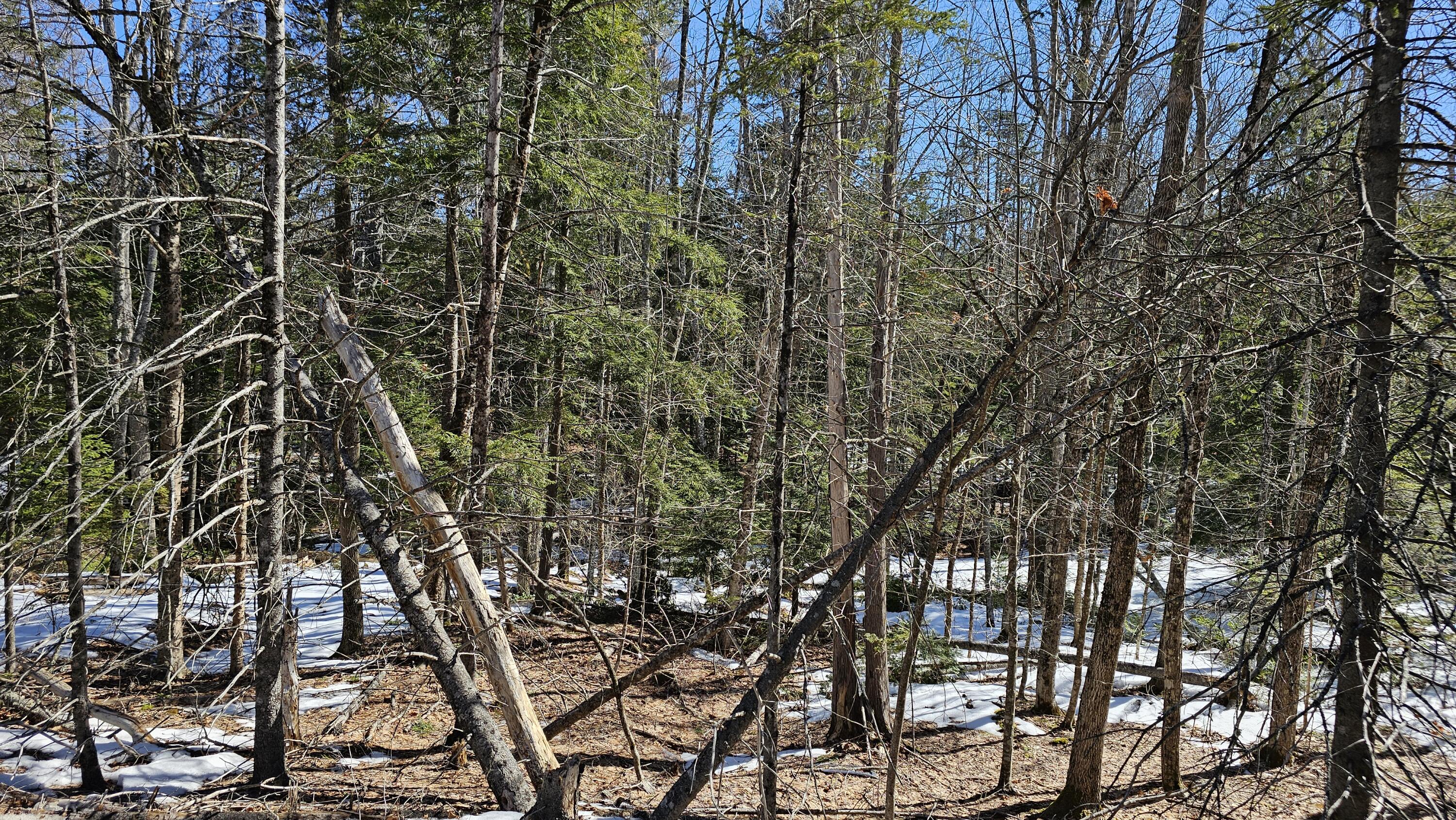41-000-000 Kidder Hill Road Holden ME 04429
