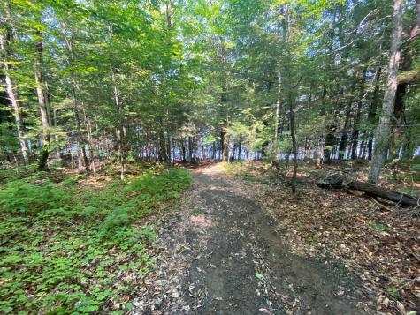 Lot 17 Shues Lane Ripley ME 04930