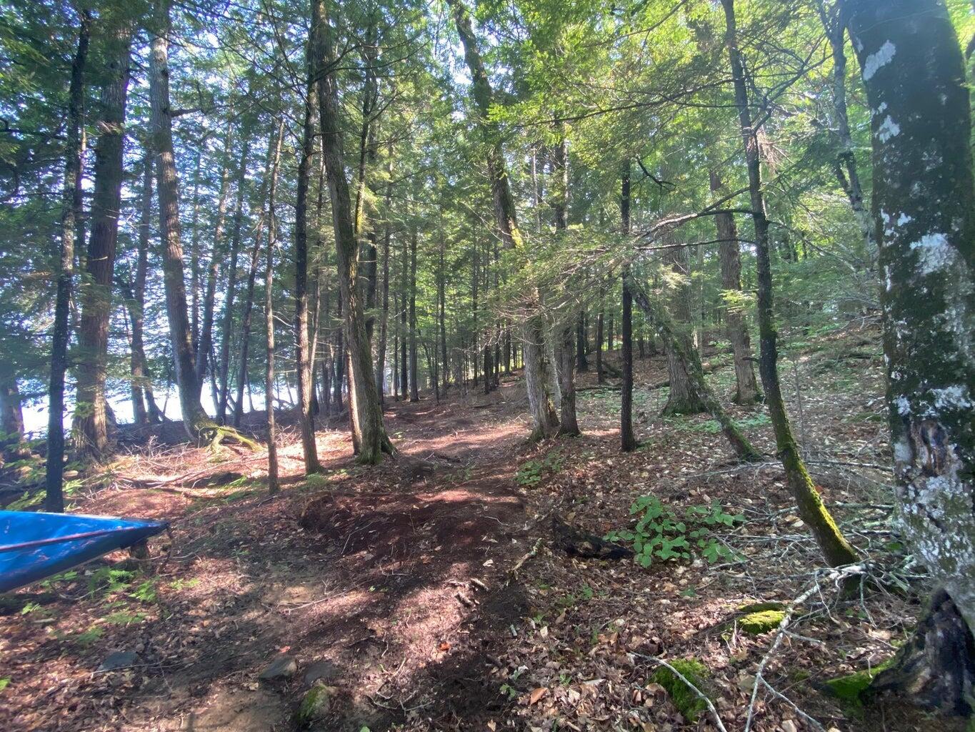 Lot 17 Shues Lane Ripley ME 04930