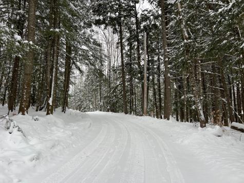 Lot 17 Shues Lane Ripley ME 04930