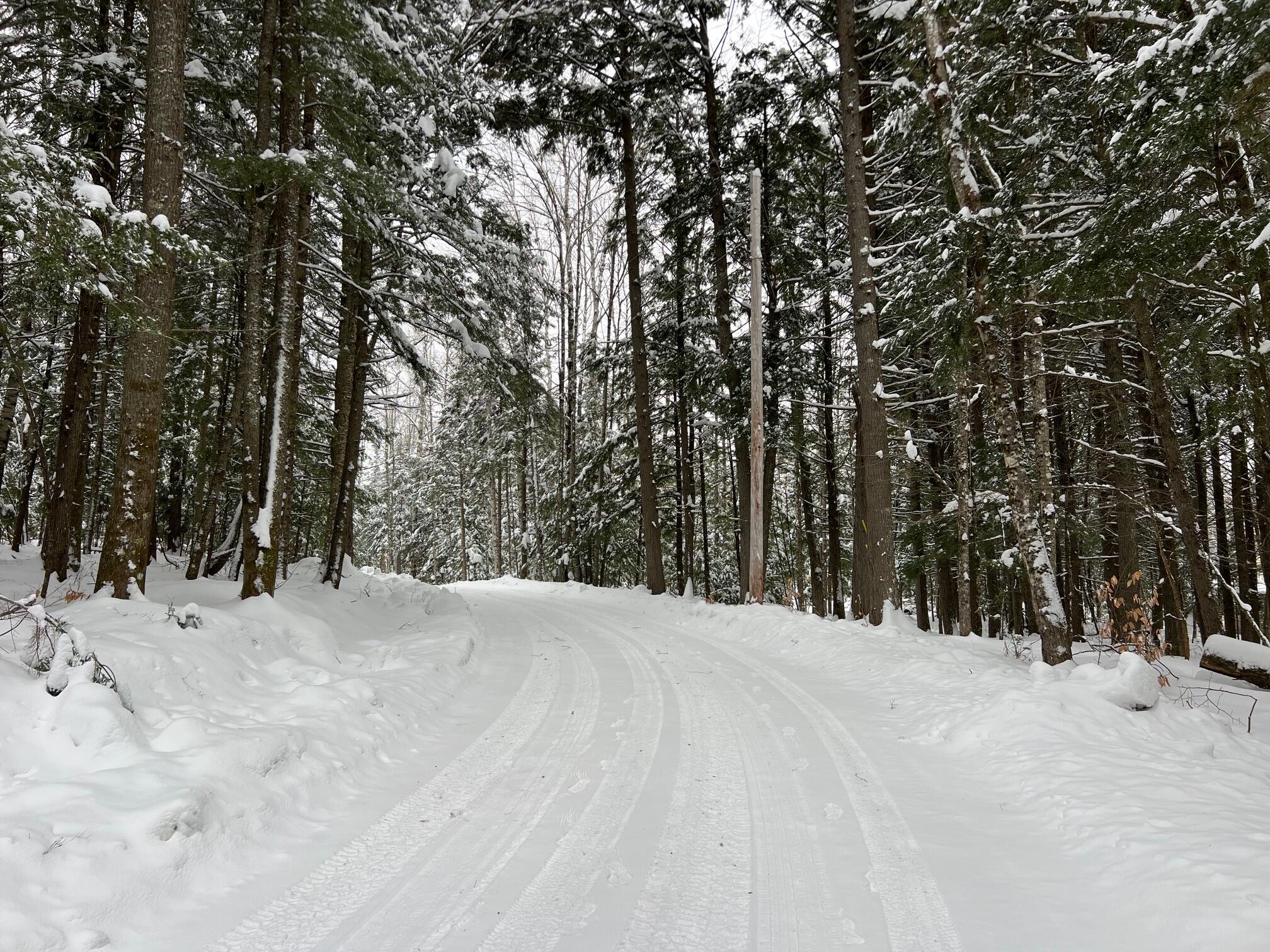 Lot 17 Shues Lane Ripley ME 04930