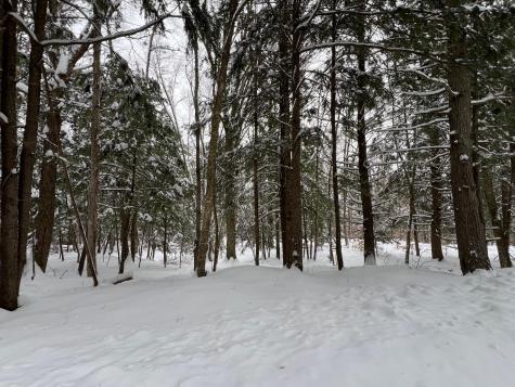 Lot 17 Shues Lane Ripley ME 04930