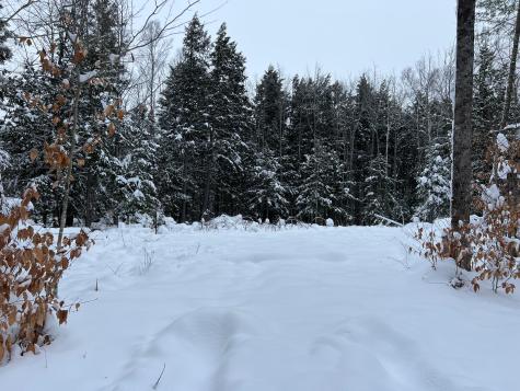 Lot 17 Shues Lane Ripley ME 04930