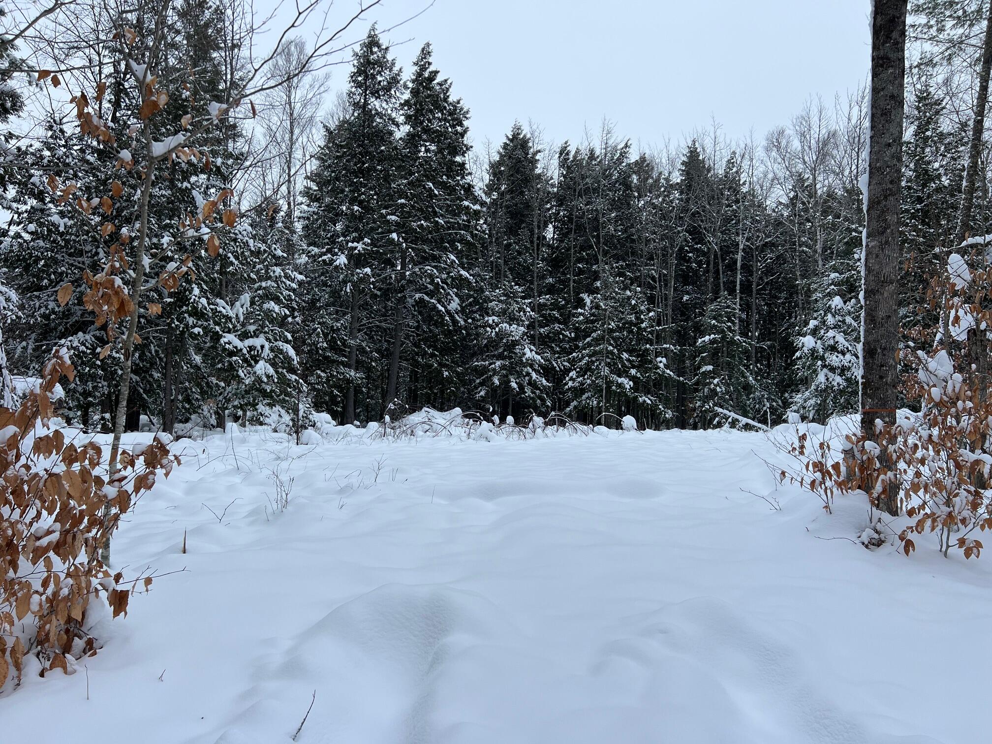 Lot 17 Shues Lane Ripley ME 04930