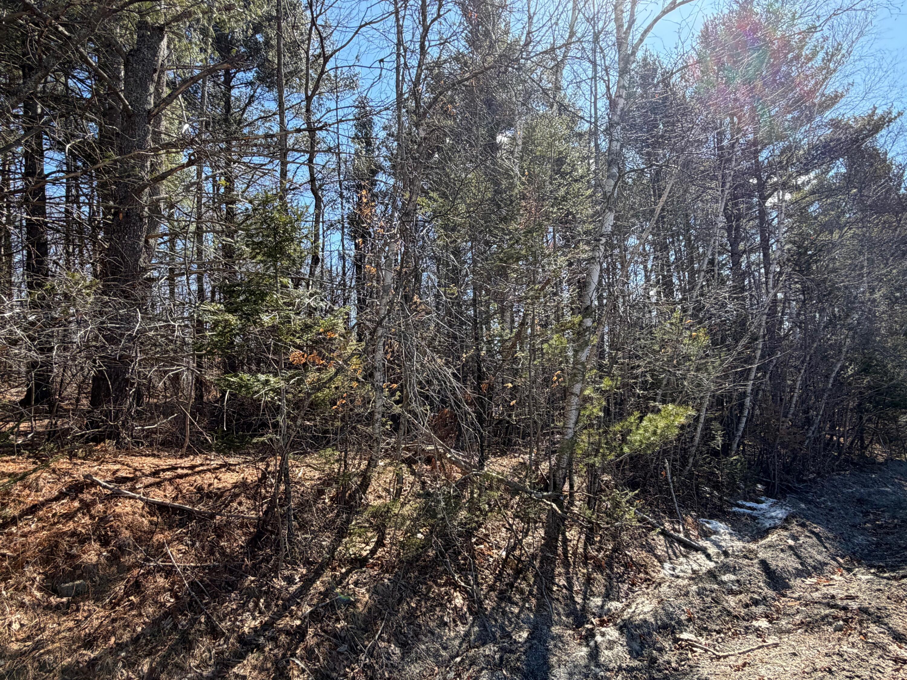 Map 10 Lot 11 Finson Road Saint Albans ME 04971
