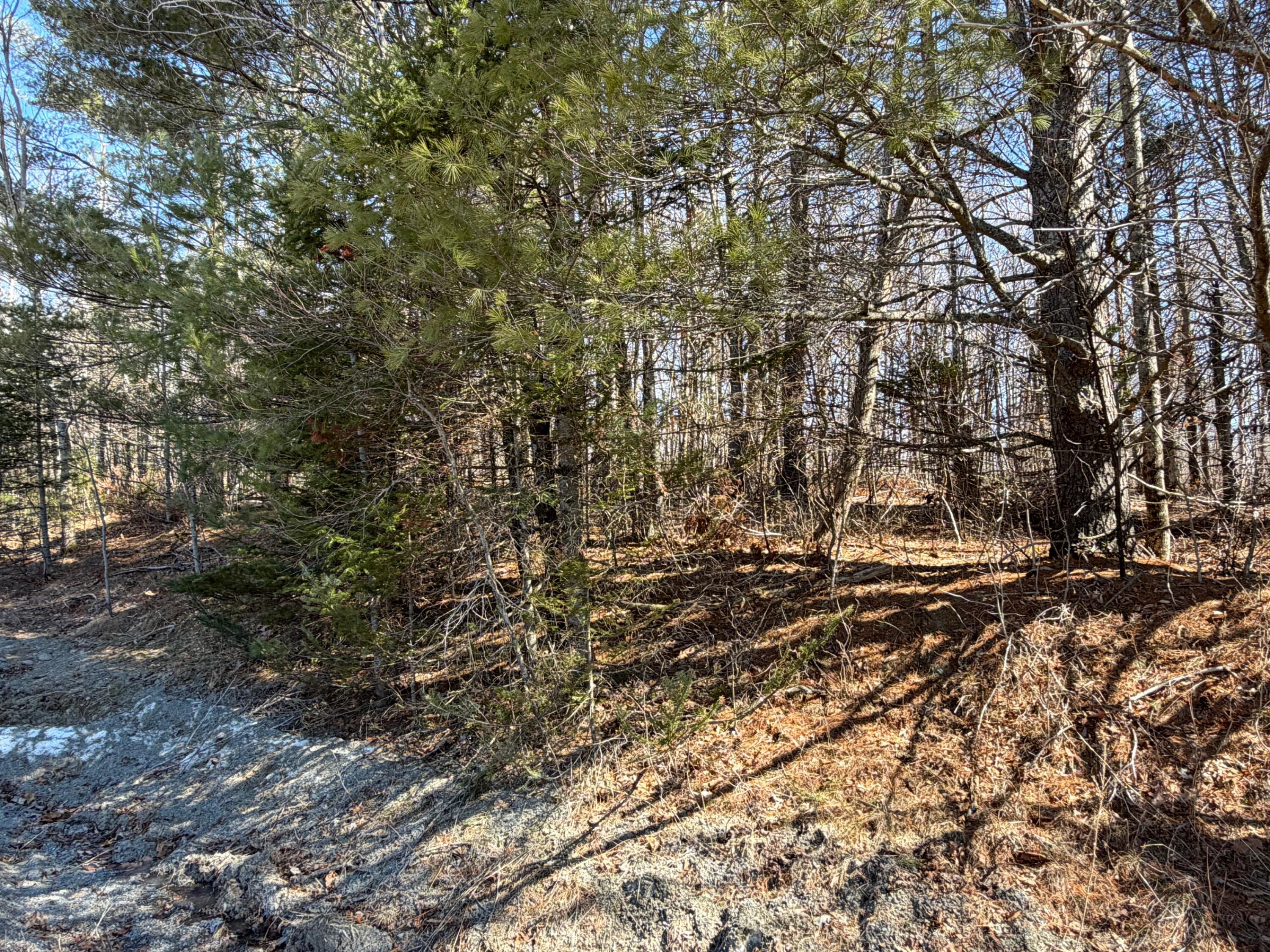 Map 10 Lot 11 Finson Road Saint Albans ME 04971