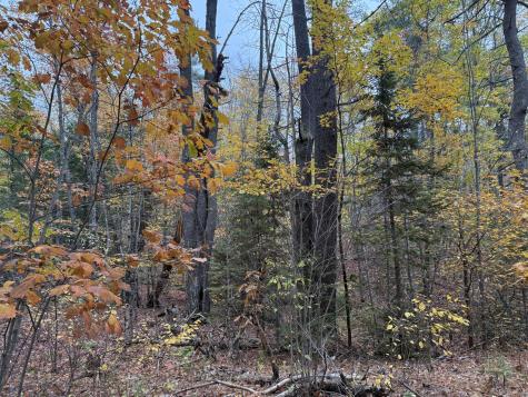 41 Stream Road Winterport ME 04496