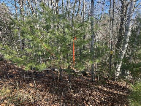 Lot 138 Pennmaric Road Augusta ME 04330