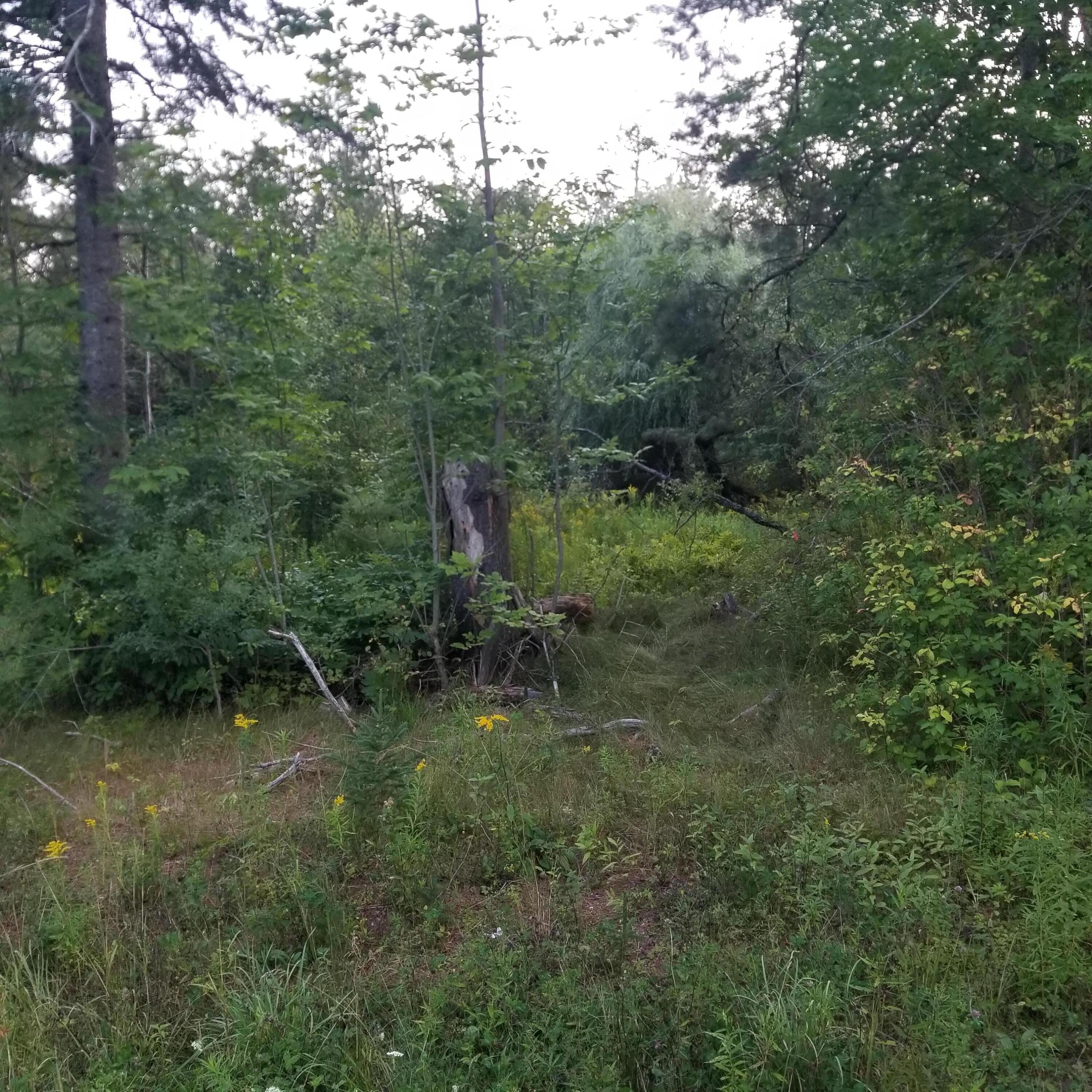 524 Millvale Road Bucksport, ME