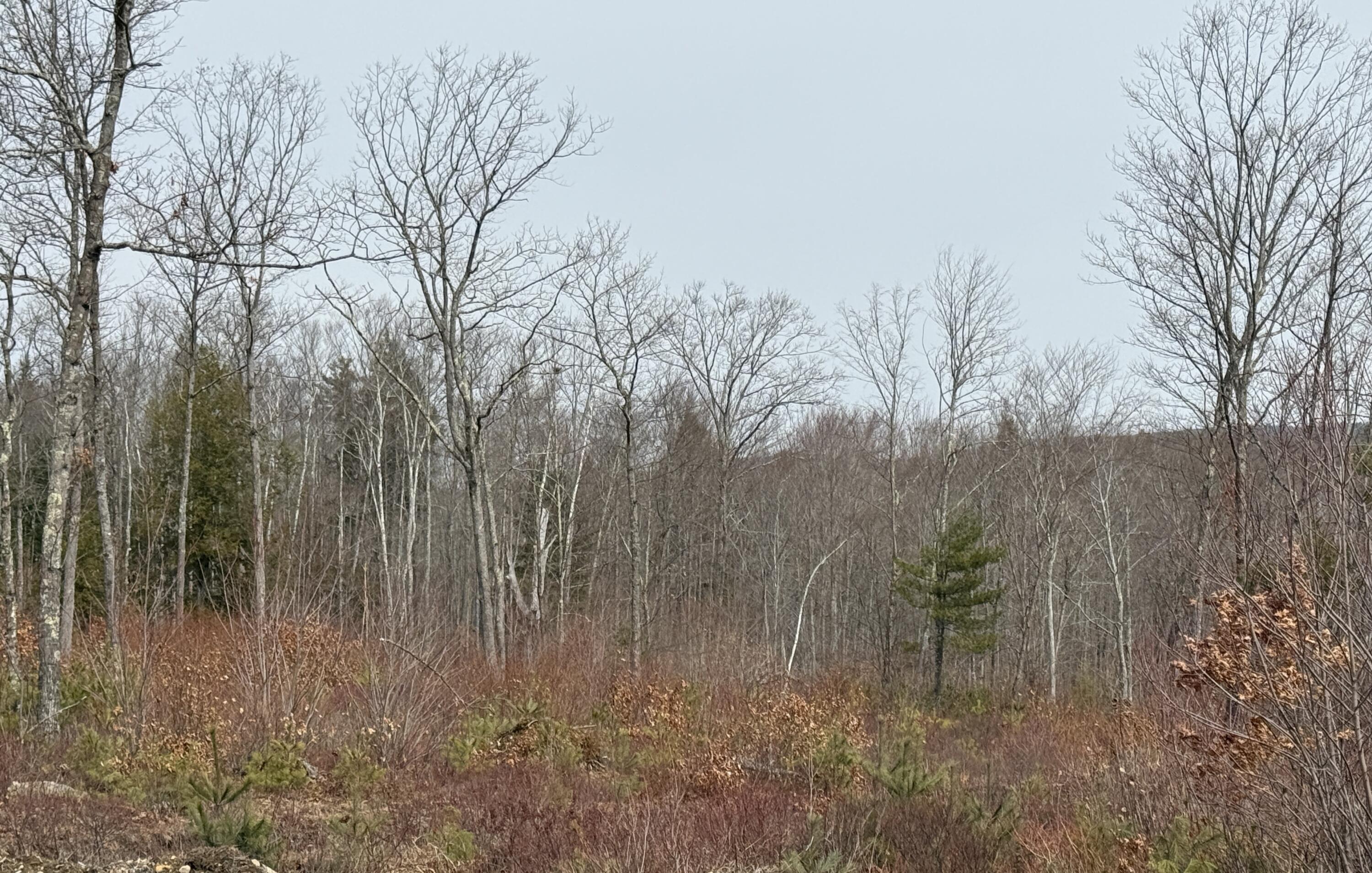 Lot A8 West Road Waterboro ME 04087
