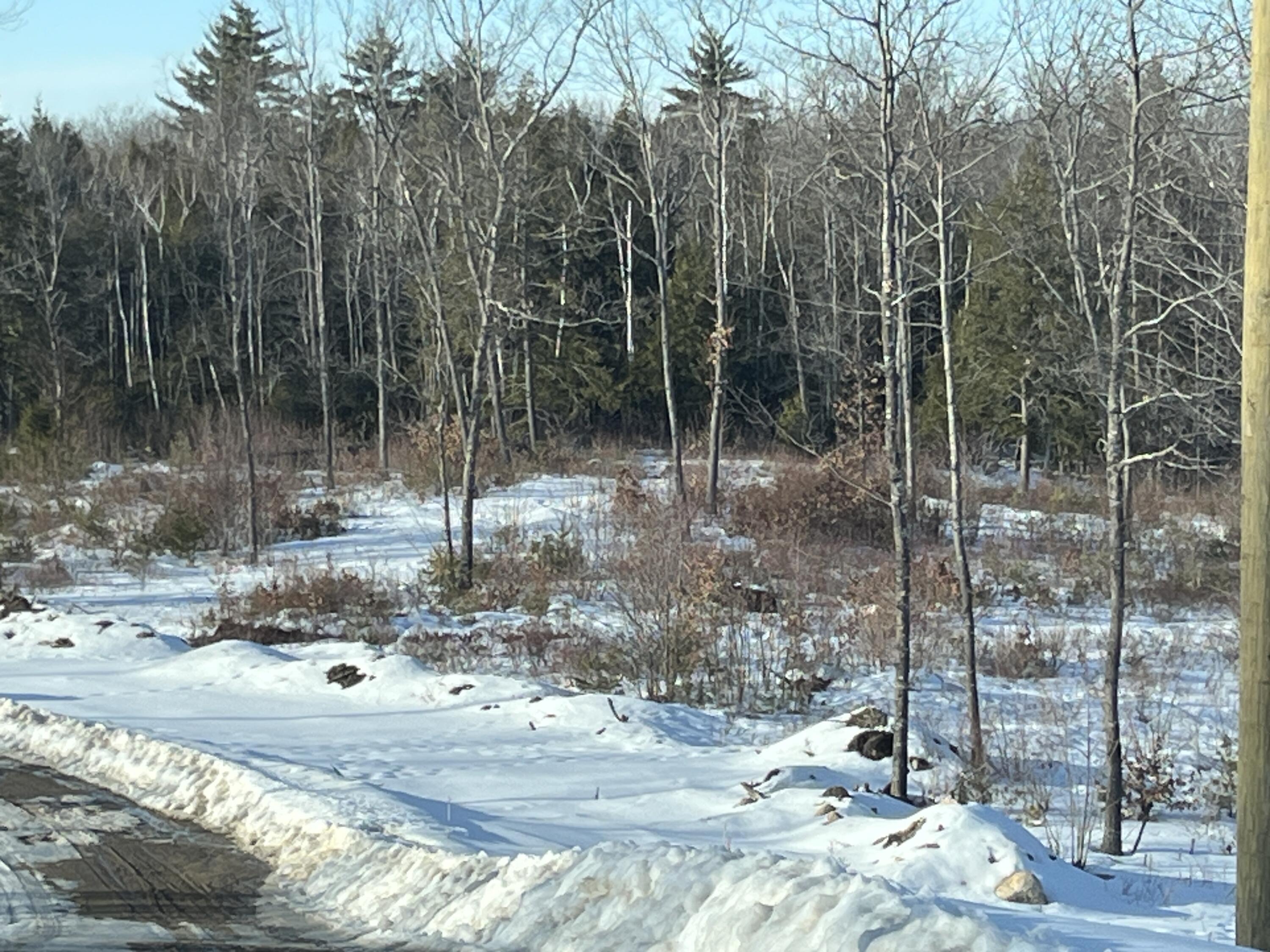 Lot A8 West Road Waterboro ME 04087