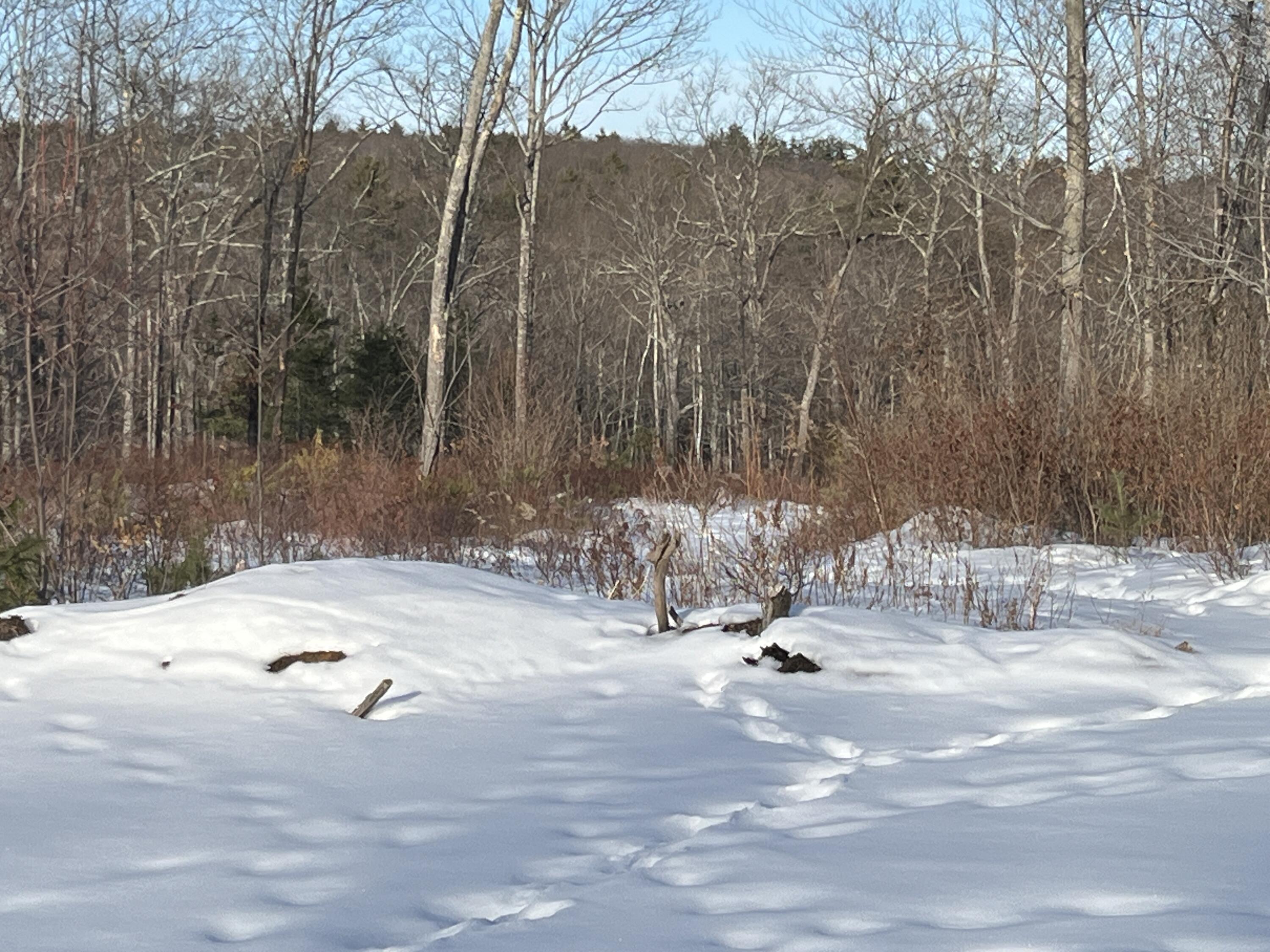Lot A8 West Road Waterboro ME 04087