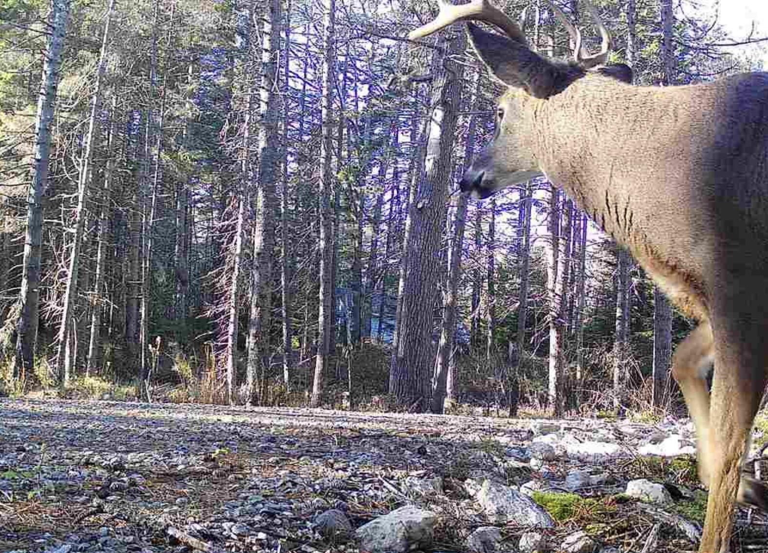 774 Spruce Head Road Saint George ME 04858