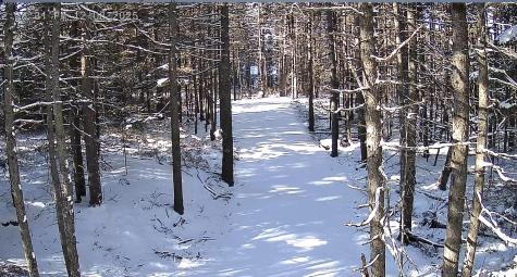 774 Spruce Head Road Saint George ME 04858