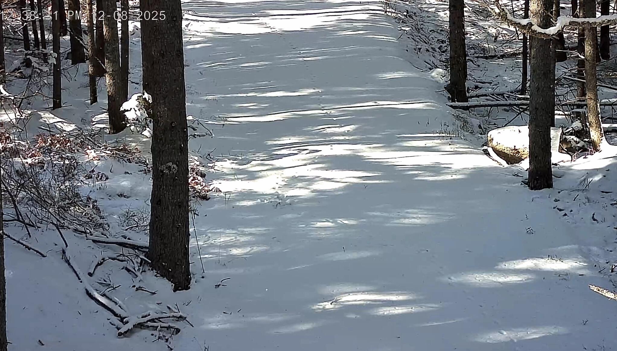 774 Spruce Head Road Saint George ME 04858