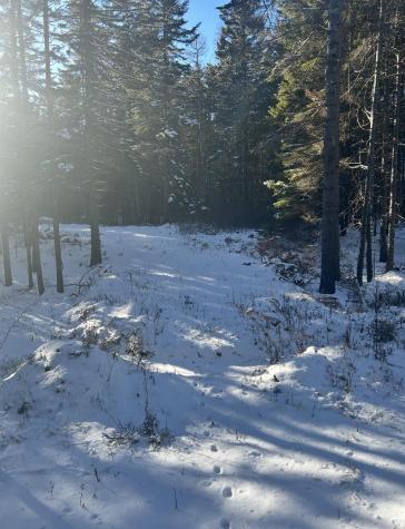 774 Spruce Head Road Saint George ME 04858