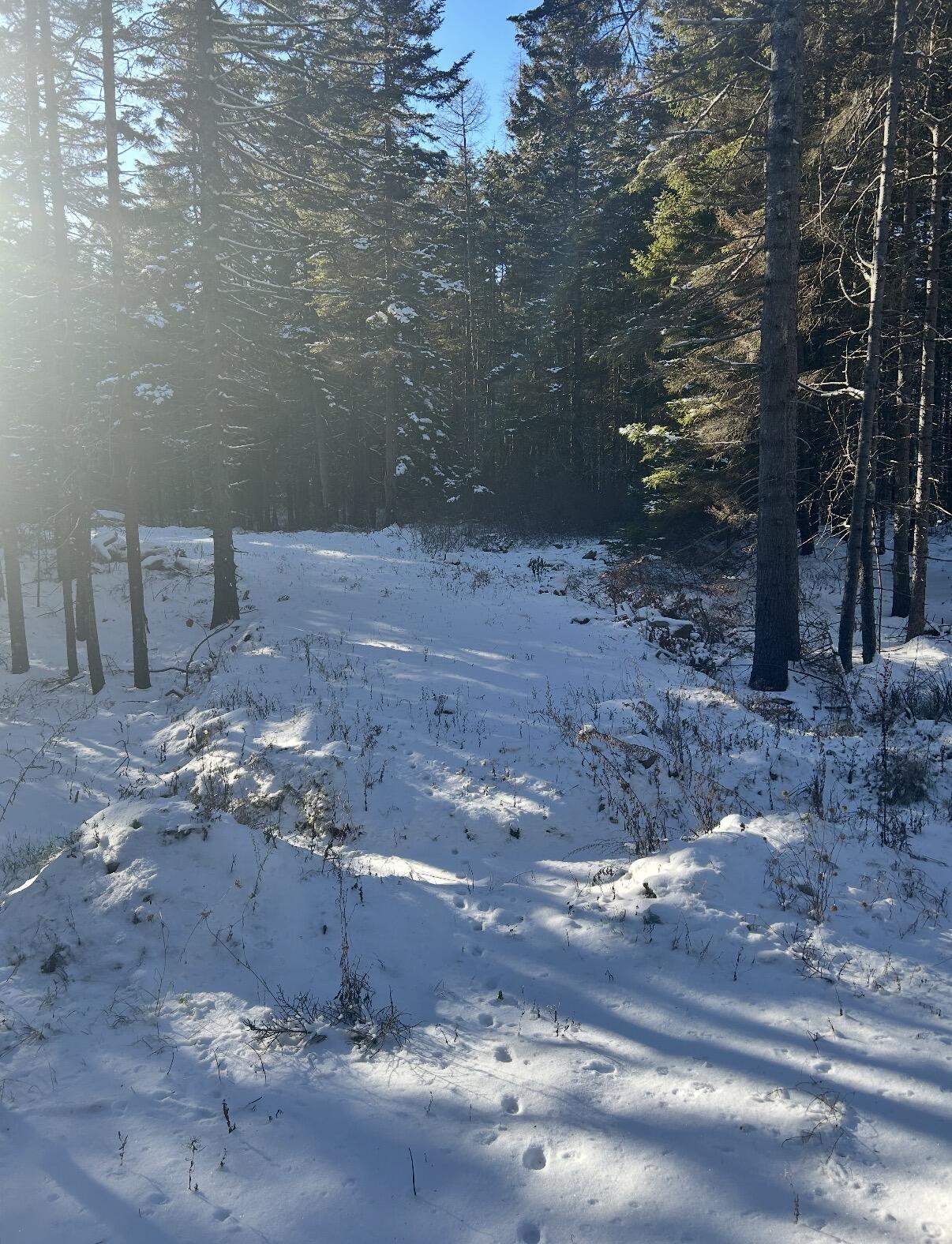 774 Spruce Head Road Saint George ME 04858