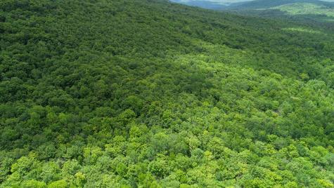 Map 402 Lot 9 Rumford ME 04276