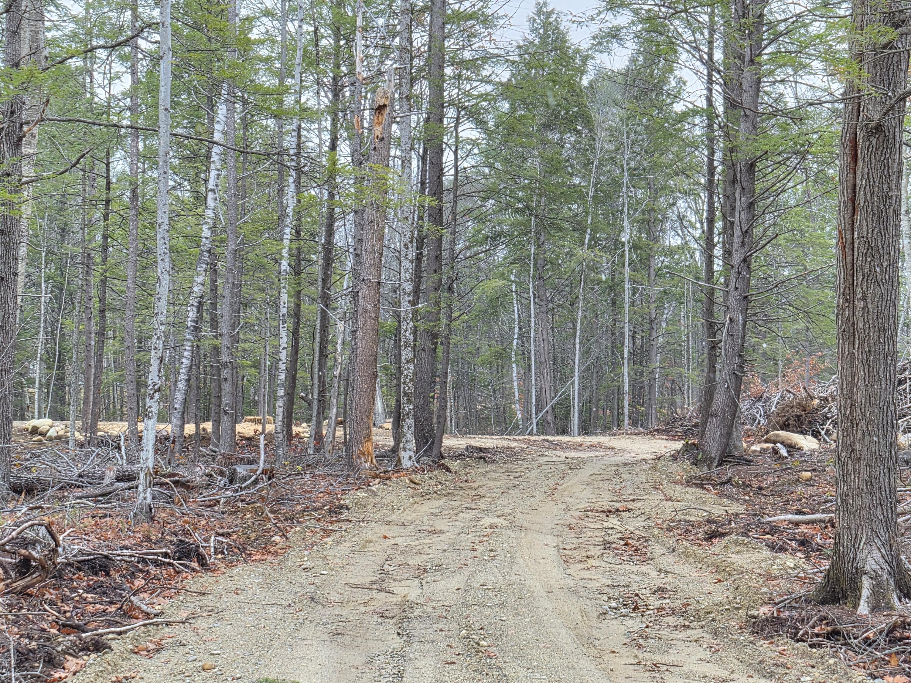 M16 L12 Route 4 Wilton ME 04294