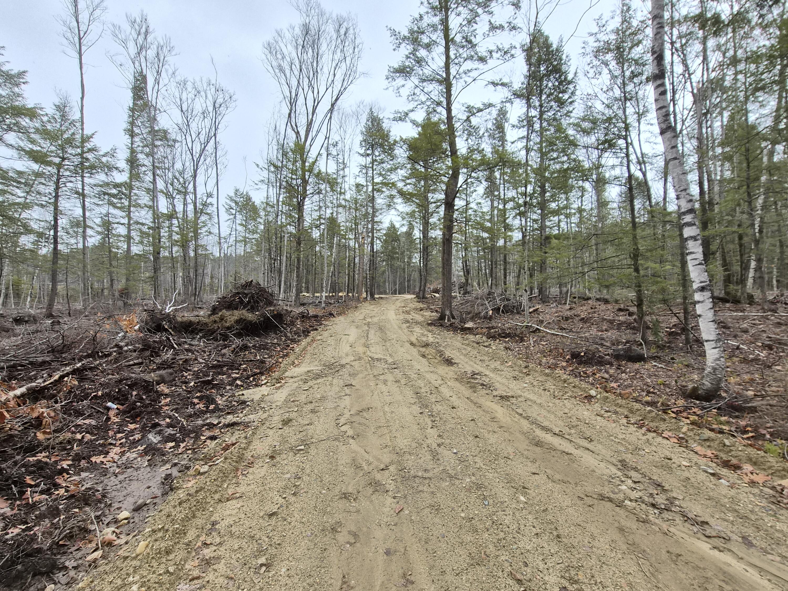 M16 L12 Route 4 Wilton ME 04294