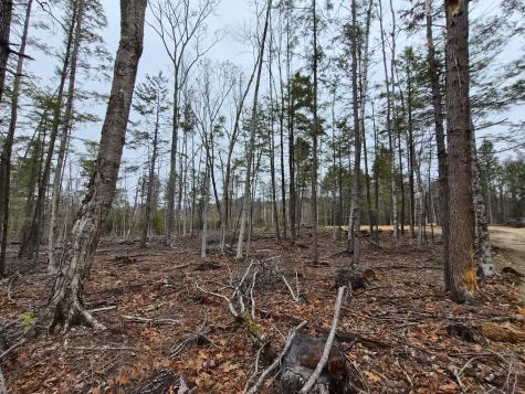 M16 L12 Route 4 Wilton ME 04294