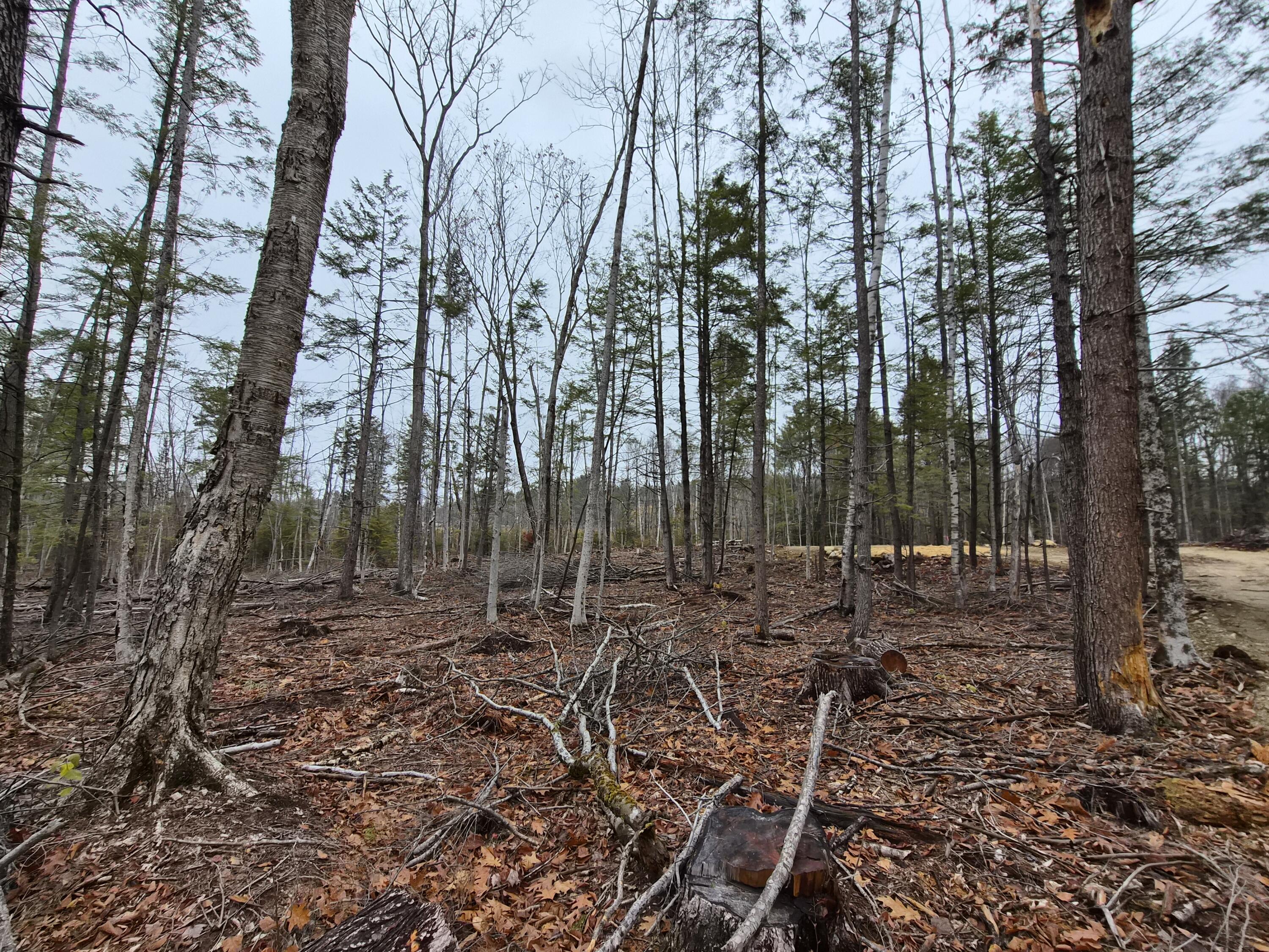 M16 L12 Route 4 Wilton ME 04294