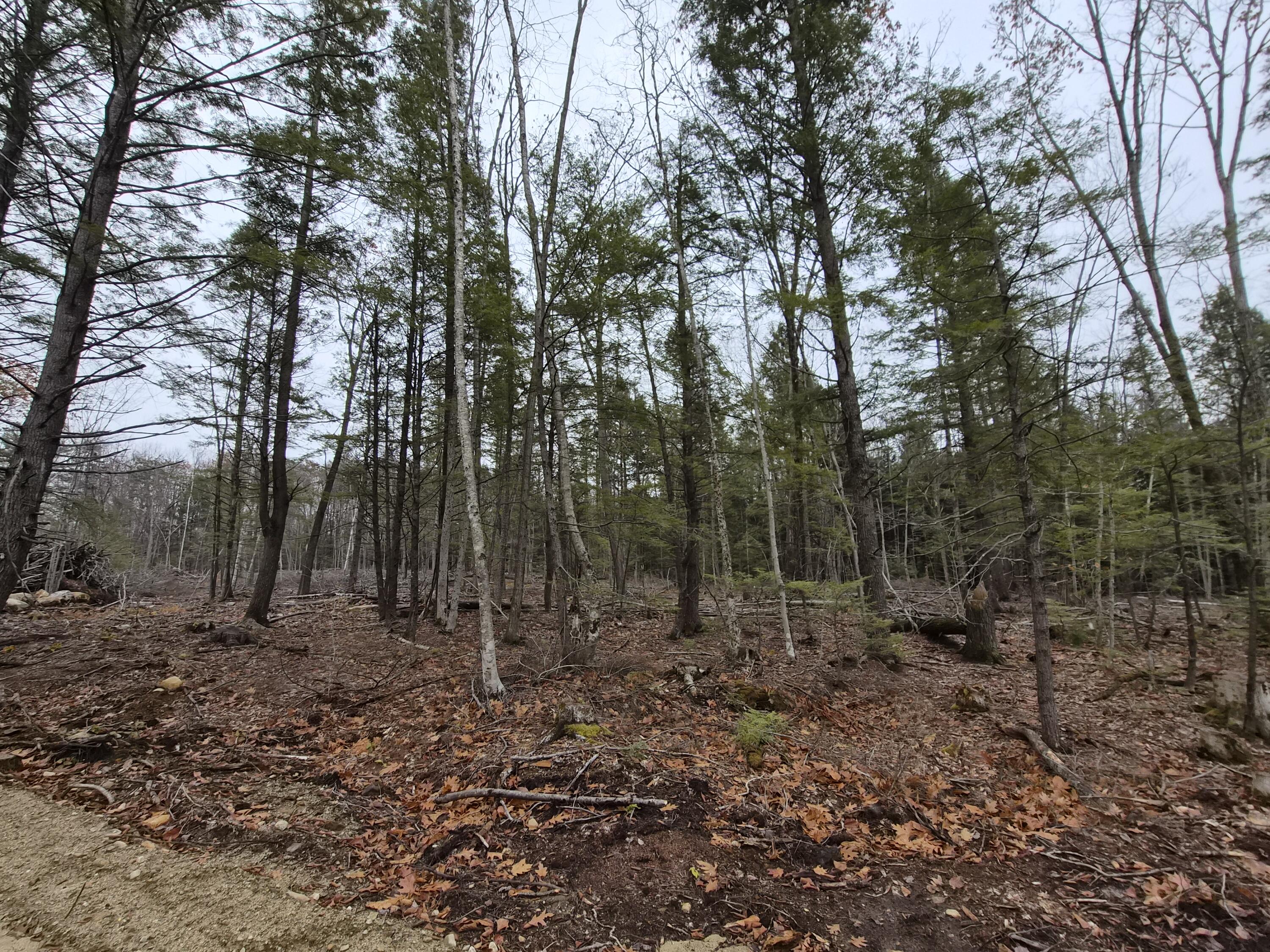 M16 L12 Route 4 Wilton ME 04294