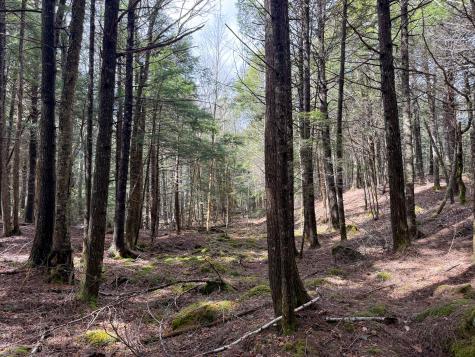 X Smith Cove Road Cathance Twp ME 04657