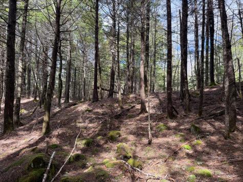 X Smith Cove Road Cathance Twp ME 04657