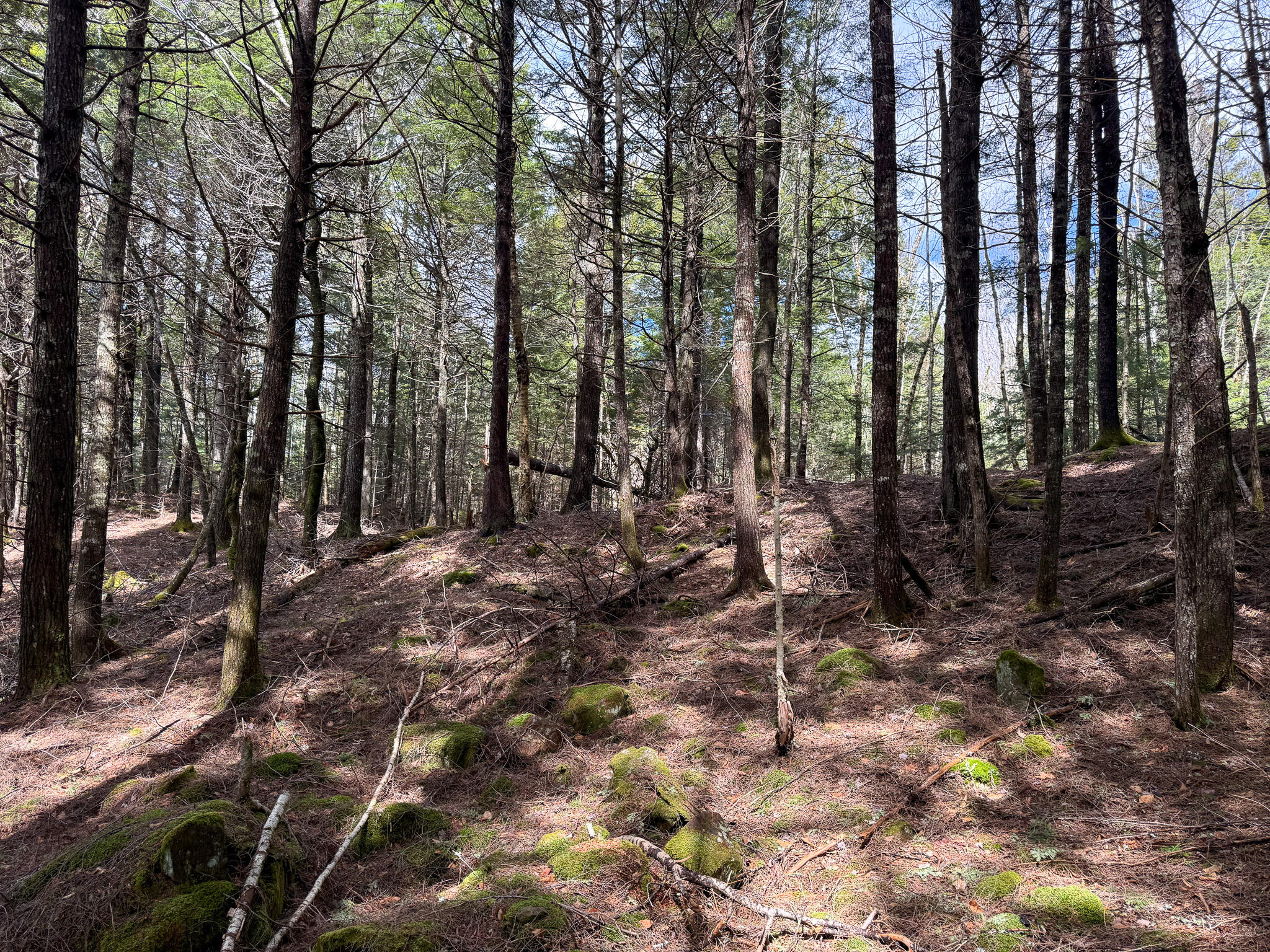 X Smith Cove Road Cathance Twp ME 04657