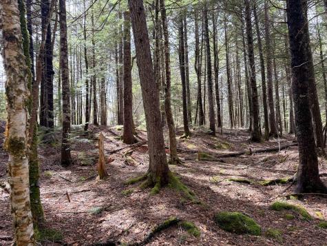 X Smith Cove Road Cathance Twp ME 04657