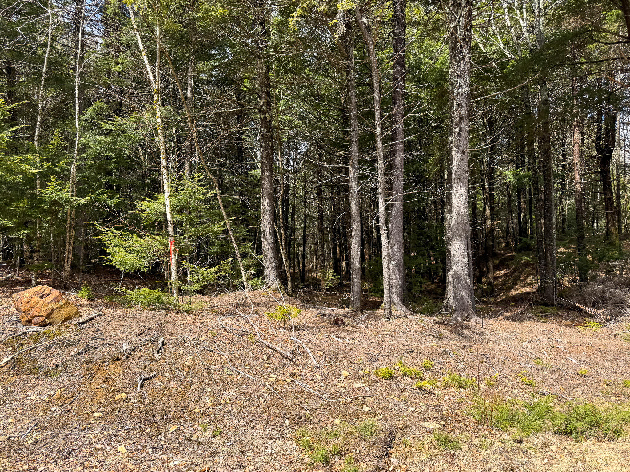 X Smith Cove Road Cathance Twp ME 04657
