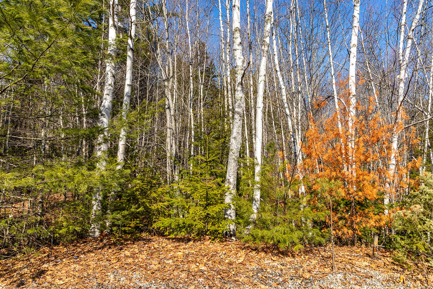 0 Appleton Retreat Lane N Appleton ME 04862