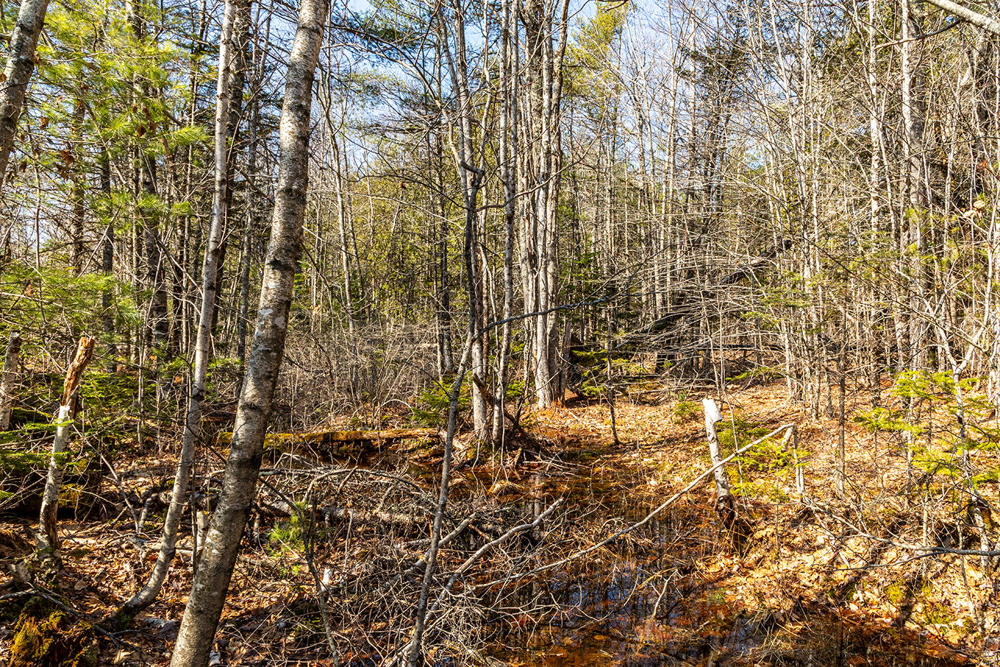 0 Appleton Retreat Lane N Appleton ME 04862